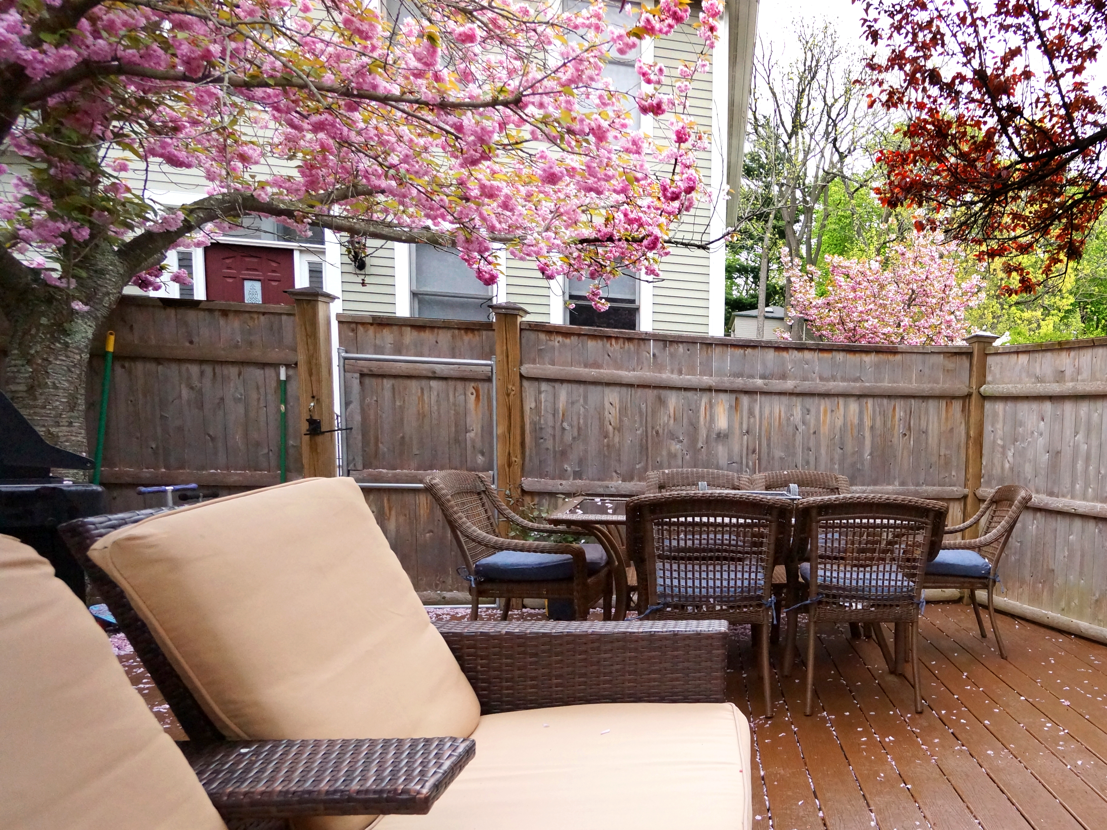 Jamaica Plain condo offered by Trisha Solio